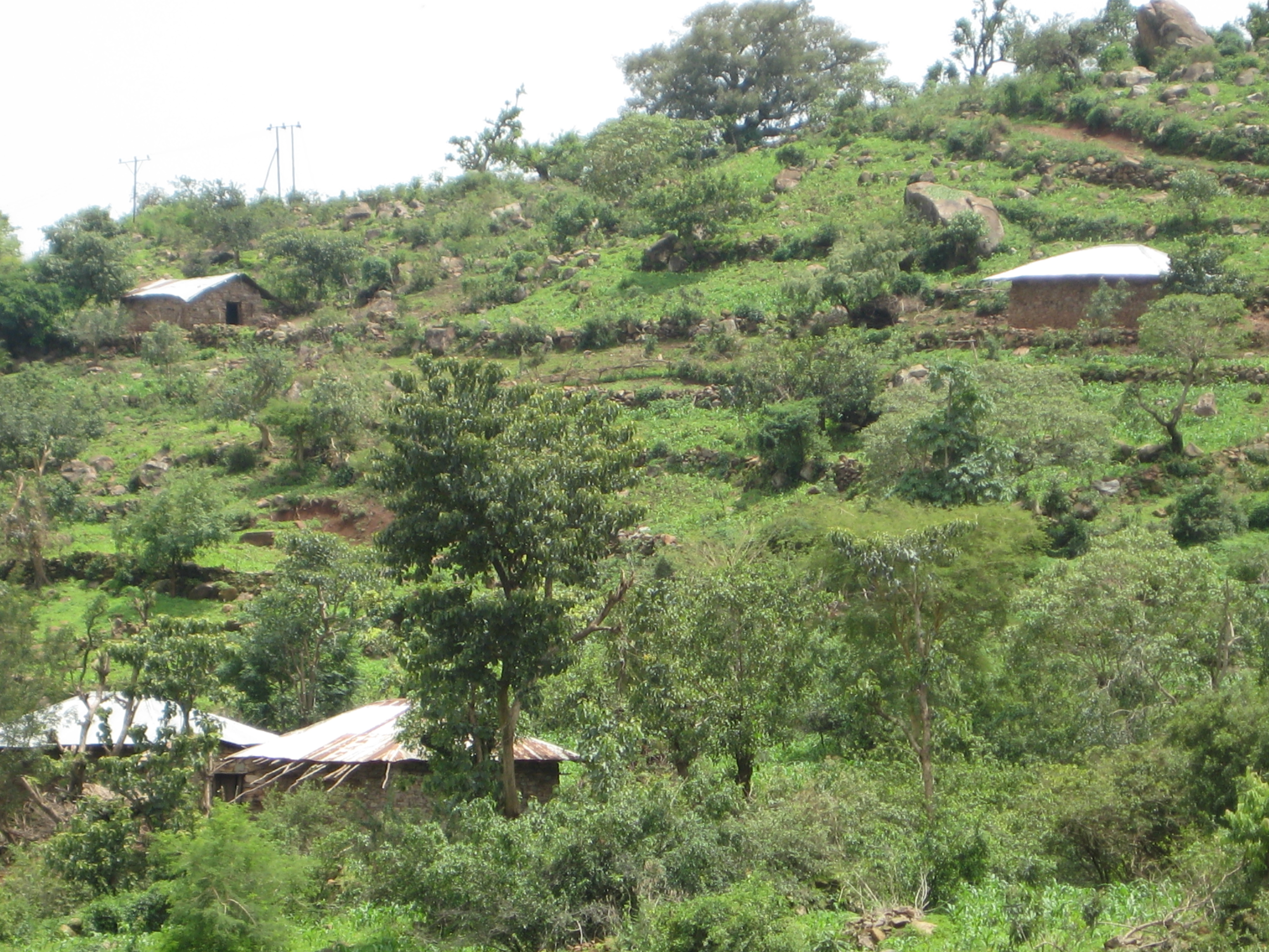 Entwicklungshilfe in idyllischer Umgebung: Landwirtschadtsprojekte im äthiopischen Gondar (C) Lopatka